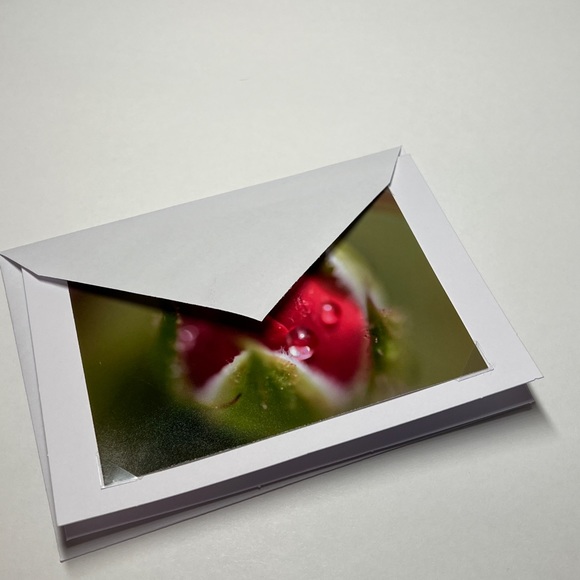 Custom Photo Note Cards Made in Maine - Picture 2 of 7